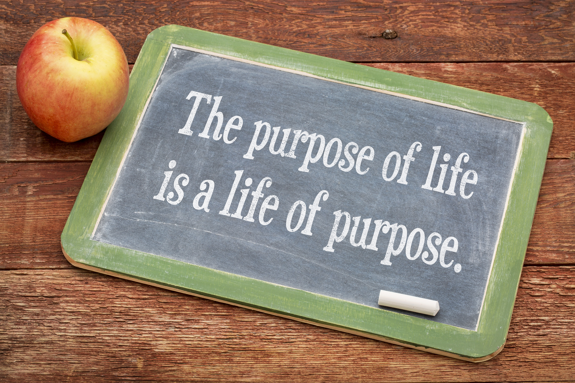 Purpose of Life